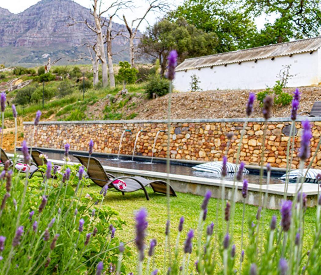 Plaisir Estate Accommodation Simondium Exterior foto