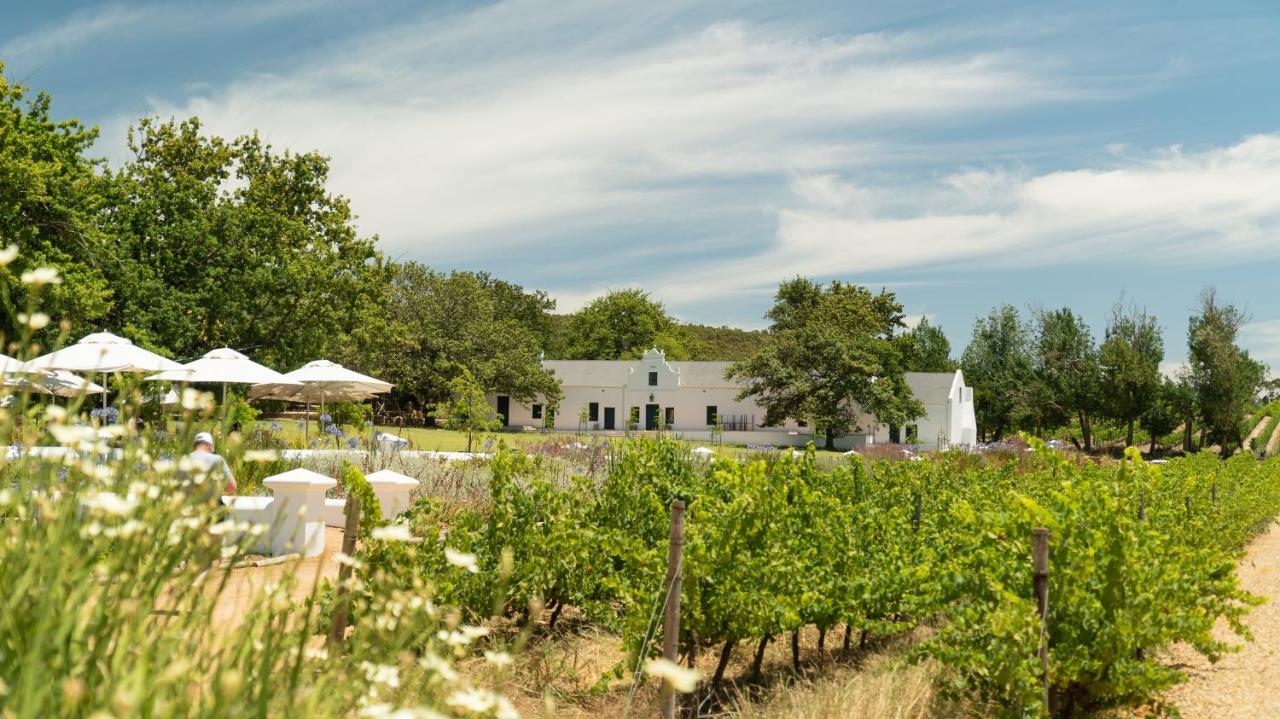 Plaisir Estate Accommodation Simondium Exterior foto